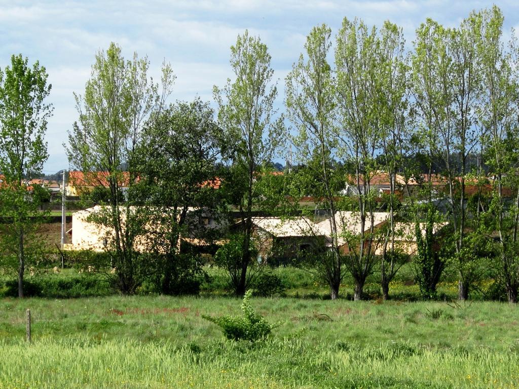 Casa Do Moinho Guest House Ovar Exterior photo